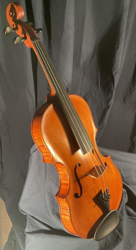 Laughlin Viola